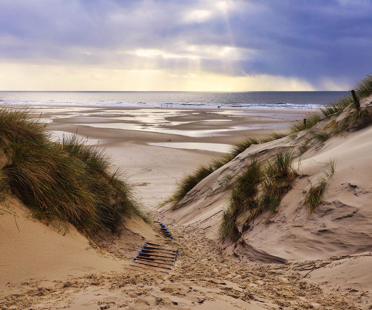 The sand dunes in Amrum, Germany in front of the beach